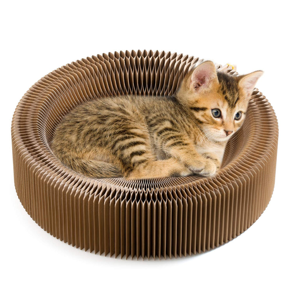 Koimsec collapsible cat scratcher lounge bed round design for lounging and scratching