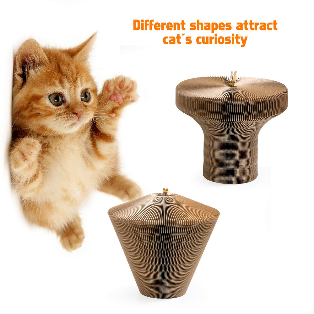 Koimsec eco-friendly non-toxic materials ensure safe, durable use