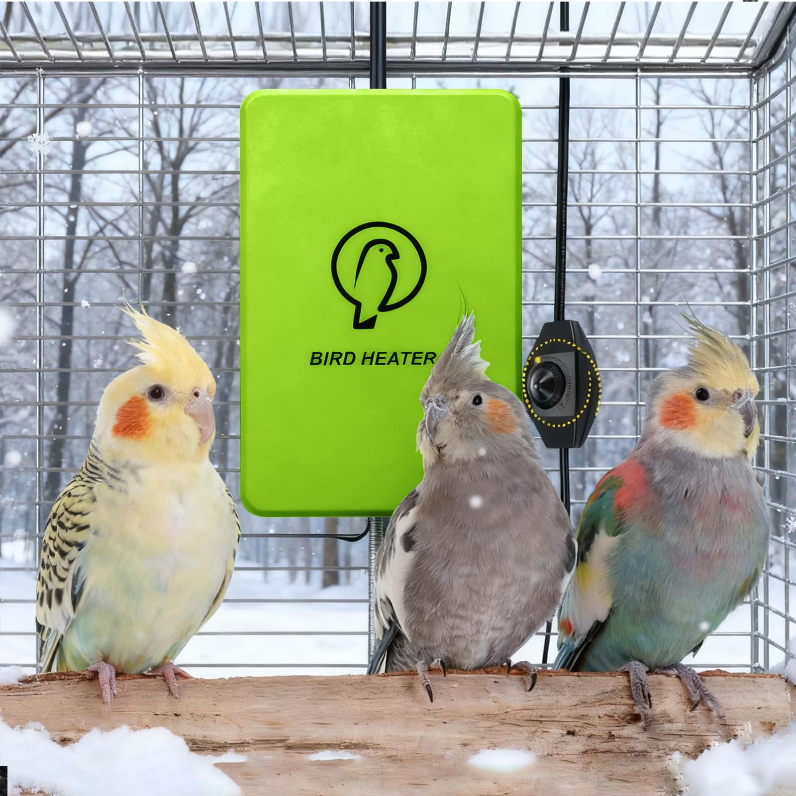 Kokopro bird heater room-use setup shows versatile cage placement.