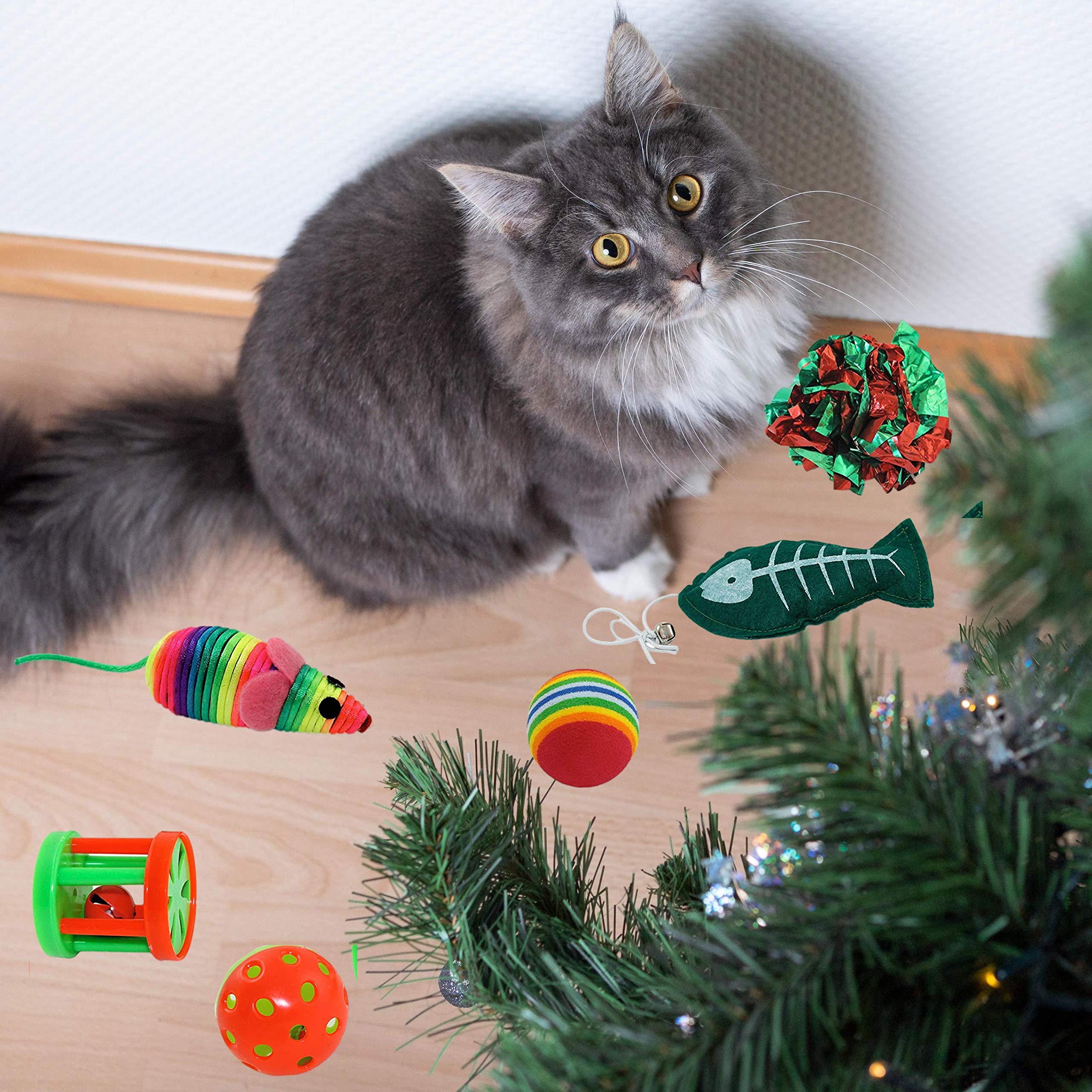 Kole Christmas Cat Stocking transparent stocking with paw border—festive gift display