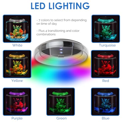 Koller BettaHex LED 1gallon size highlights compact hex tank for desks.