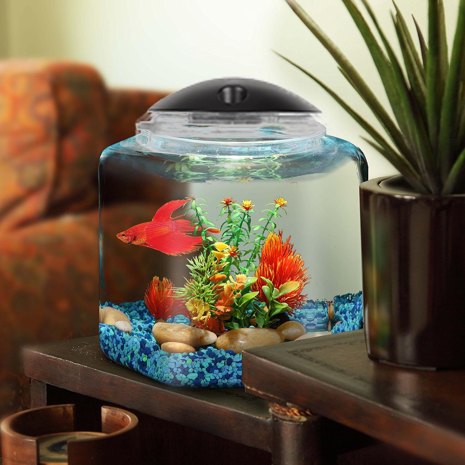 Koller BettaHex impact-resistant plastic emphasizes durability and crystal clarity.