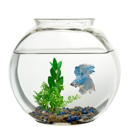 Koller Products 1-Gallon Fish Bowl clear view enhances floral arrangements.