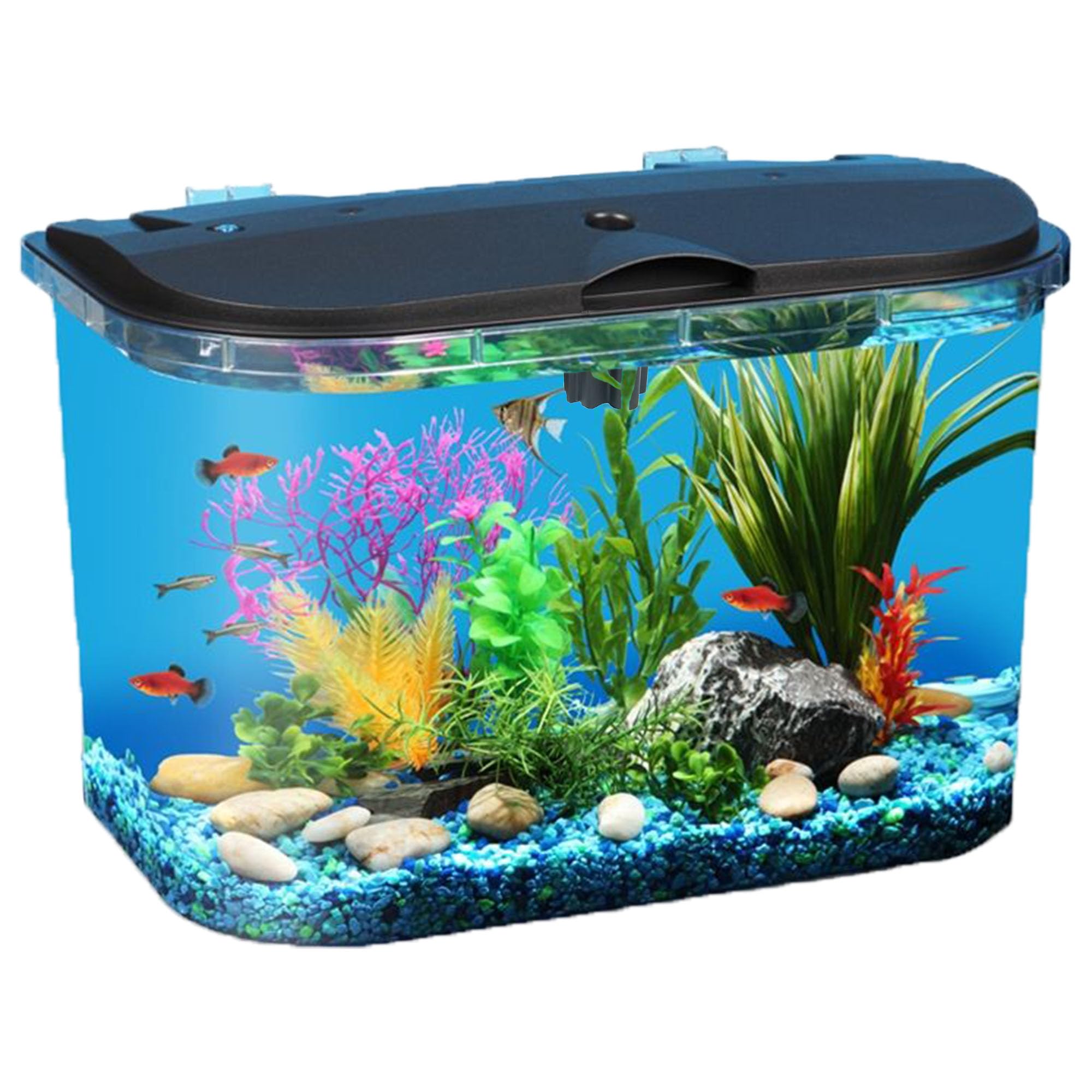 Koller Products PanaView 5-Gallon aquarium front view with LED lighting for calm home decor