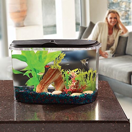 Koller Products PanaView with trendy design provides viewing from multiple angles