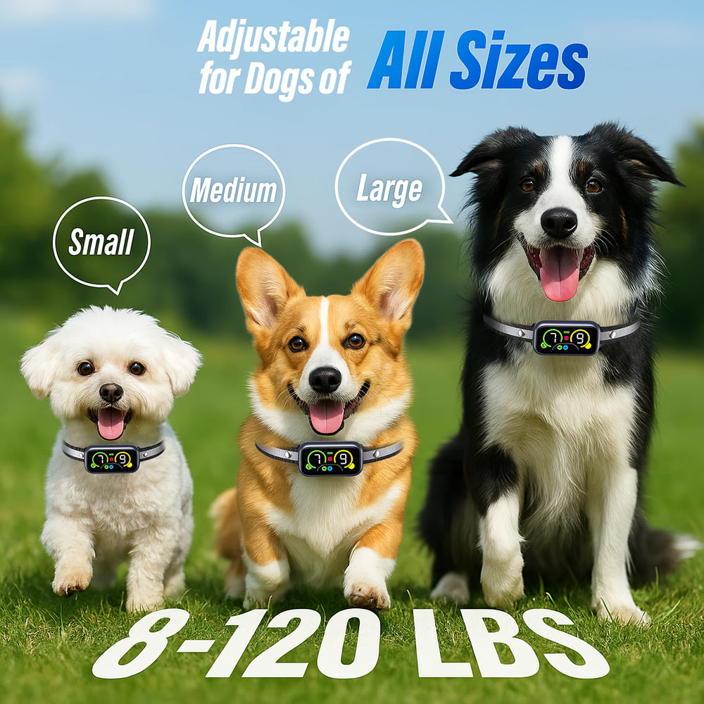 Kollgux dog bark collar waterproof — IP67 for indoor and outdoor use.
