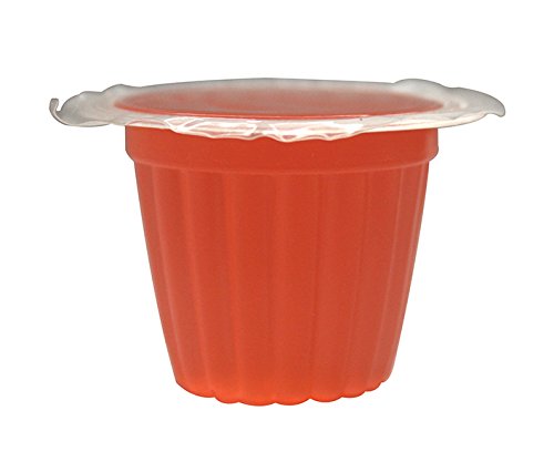 Komodo Jelly Pots in live-food enclosure demonstrates simple hydration delivery.