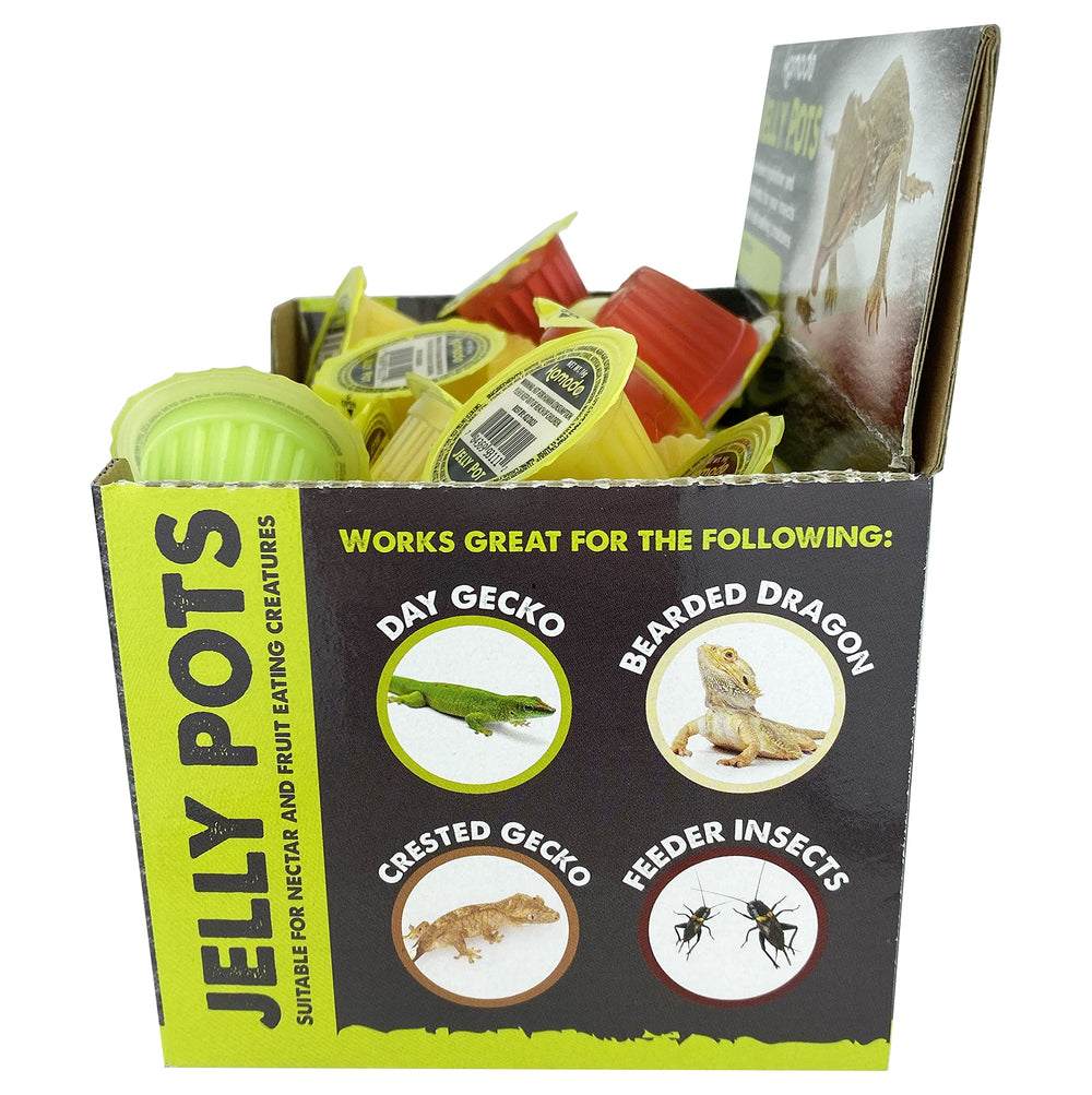 Komodo Jelly Pots melon flavor captures refreshing option for hydration and nutrition.