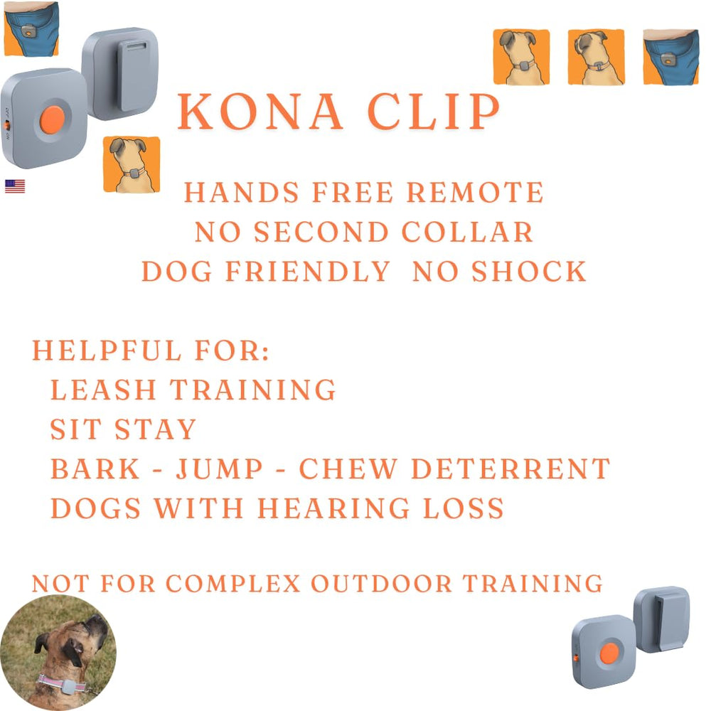 Kona Clip in action teaching a dog focus during training