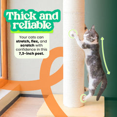 KONELCARE 7-3inch post diameter detail emphasizes sturdy scratching surface for large cats.