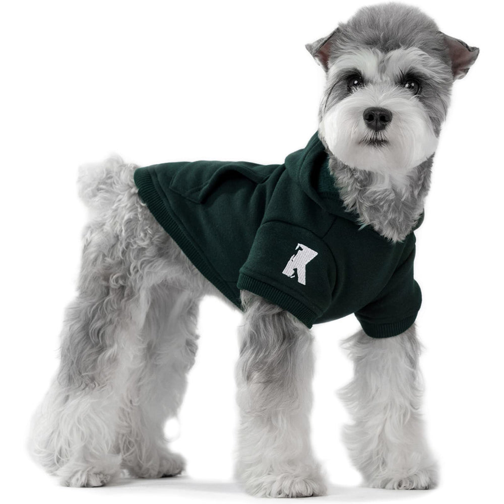 Koneseve dog hoodie green worn by a small dog during a walk