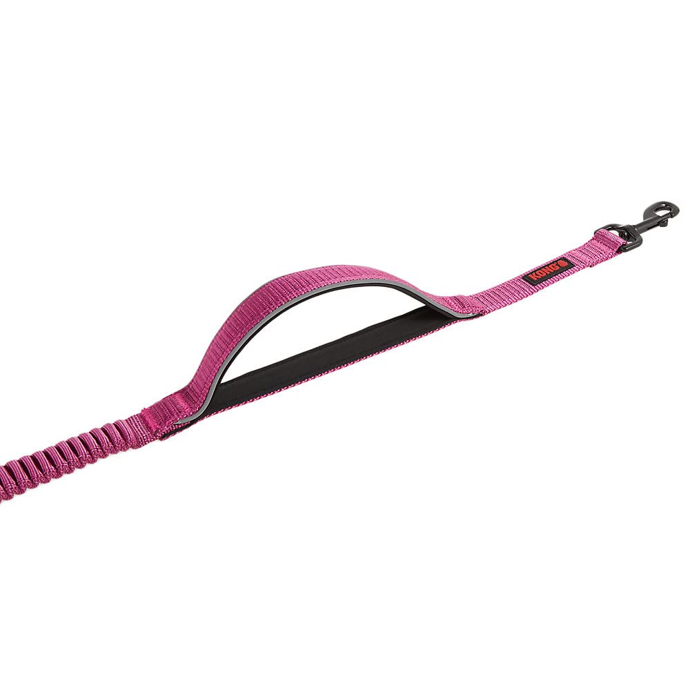 KONG 6ft-leash pink demonstrates balanced control during neighborhood walks