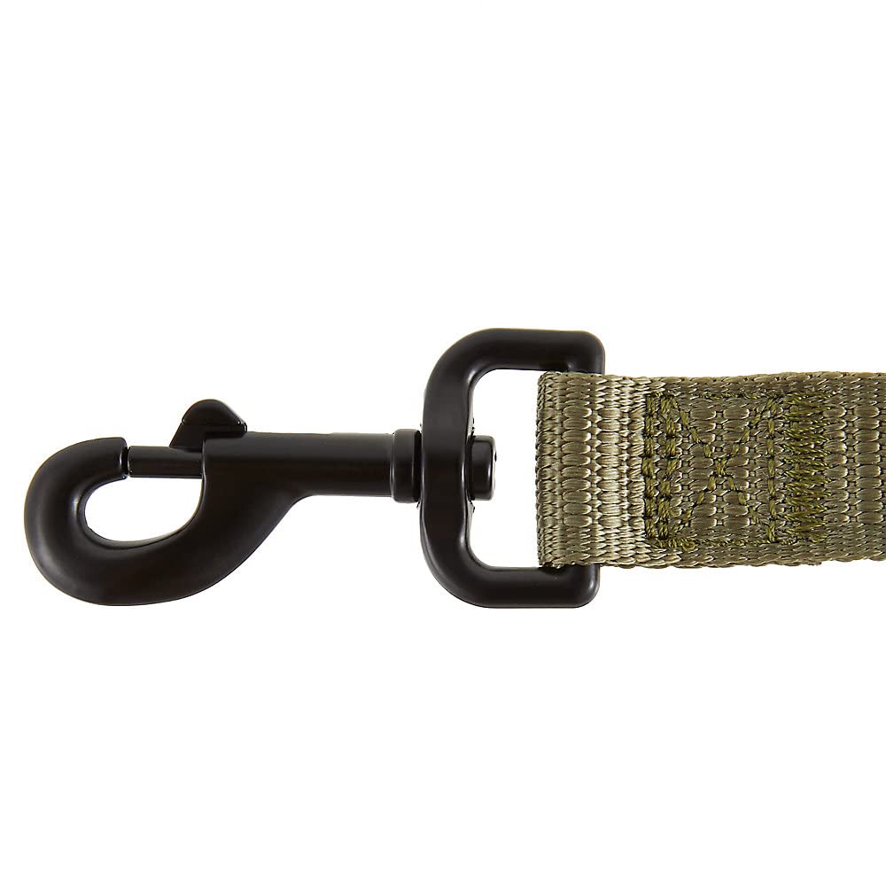 KONG 6ft long, 1in wide leash for versatile outdoor use