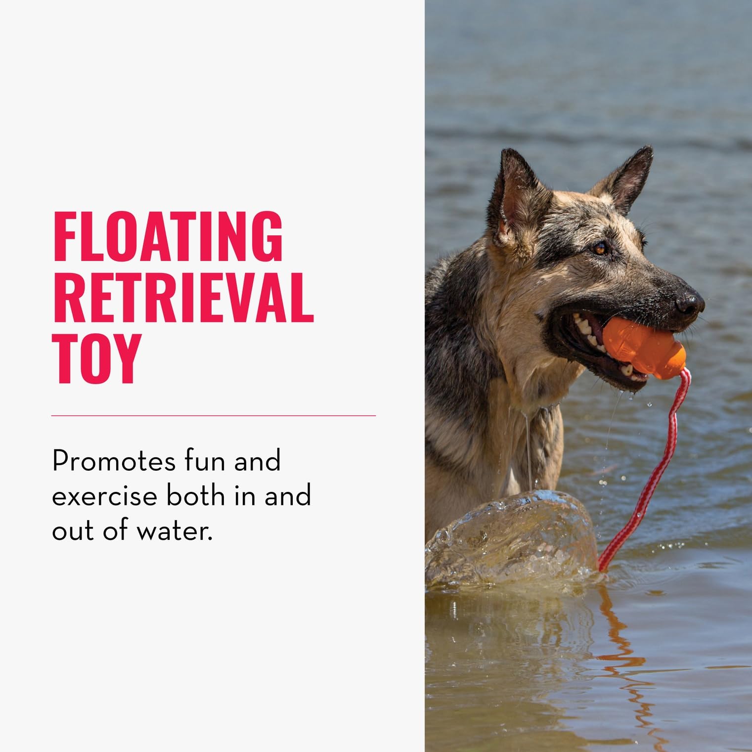 KONG Aqua foam-core design floats effortlessly during water play