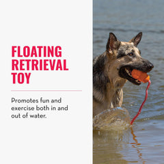 KONG Aqua foam-core design floats effortlessly during water play