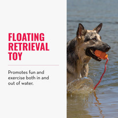KONG Aqua foam-core design stays buoyant during pool or lake fetch.
