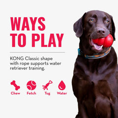 KONG Aqua natural rubber is durable for spirited water games.