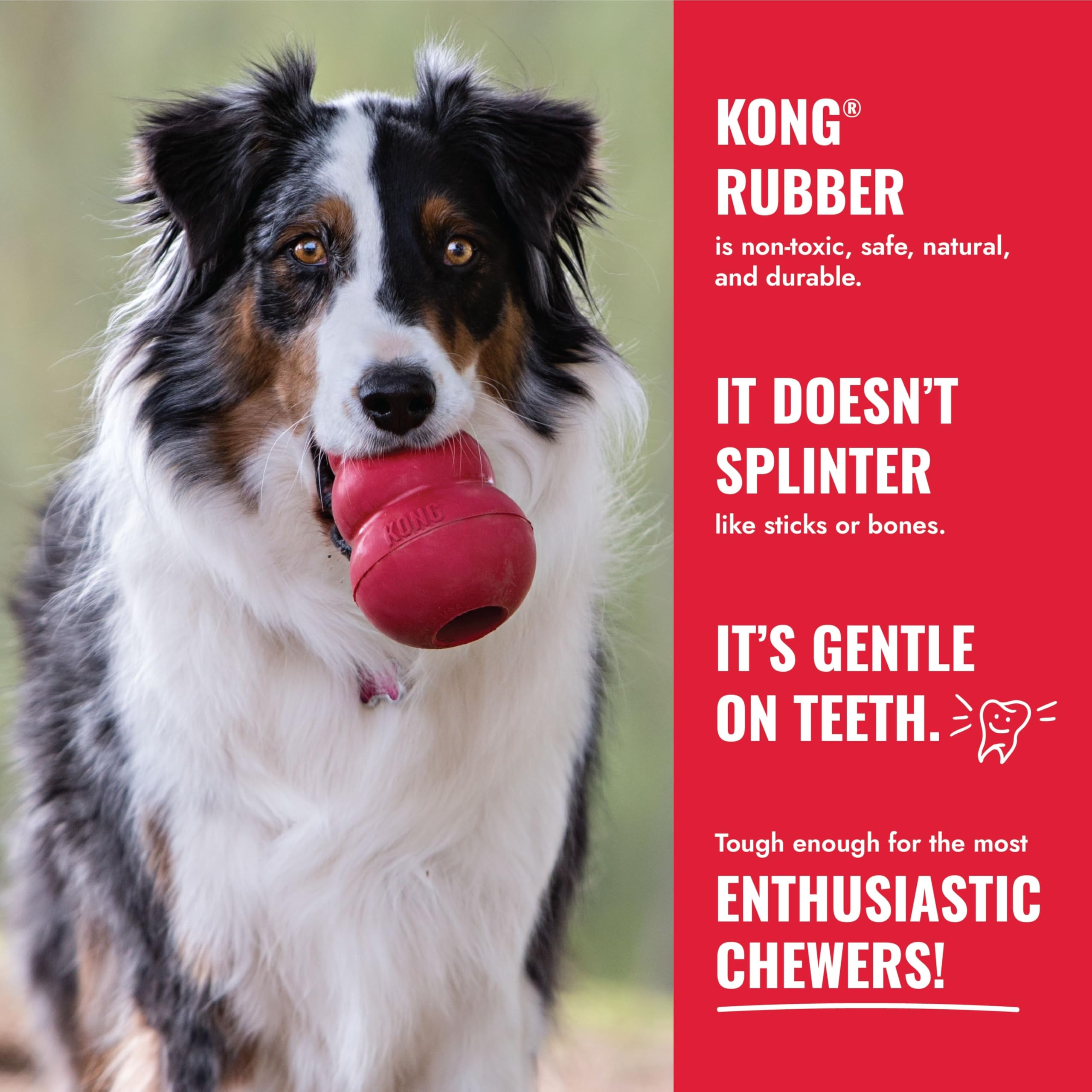 KONG Ball with Hole durable natural rubber – resilient and long-lasting play toy.