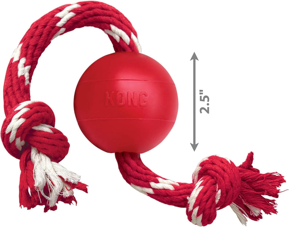 KONG Ball with Rope red close-up, high-visibility toy for safer outdoor play.