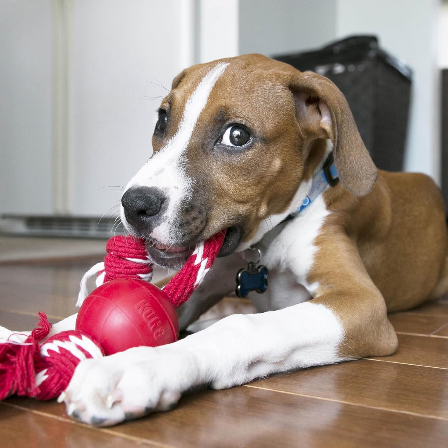 KONG Ball with Rope rope detail showing durable construction for long-lasting fun.