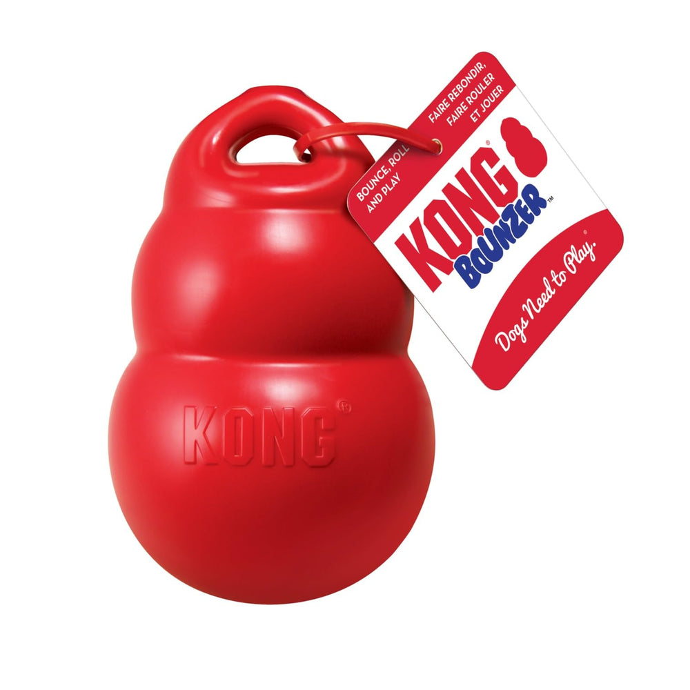 KONG Bounzer Medium in a dog's mouth during fetch and return.