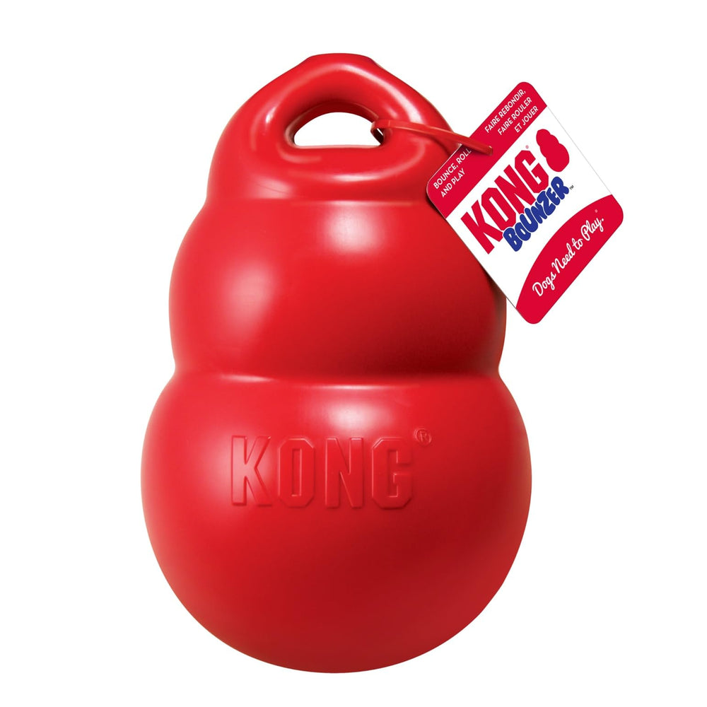 KONG Bounzer XL dog-playtime captures lively bounce, roll, and chase