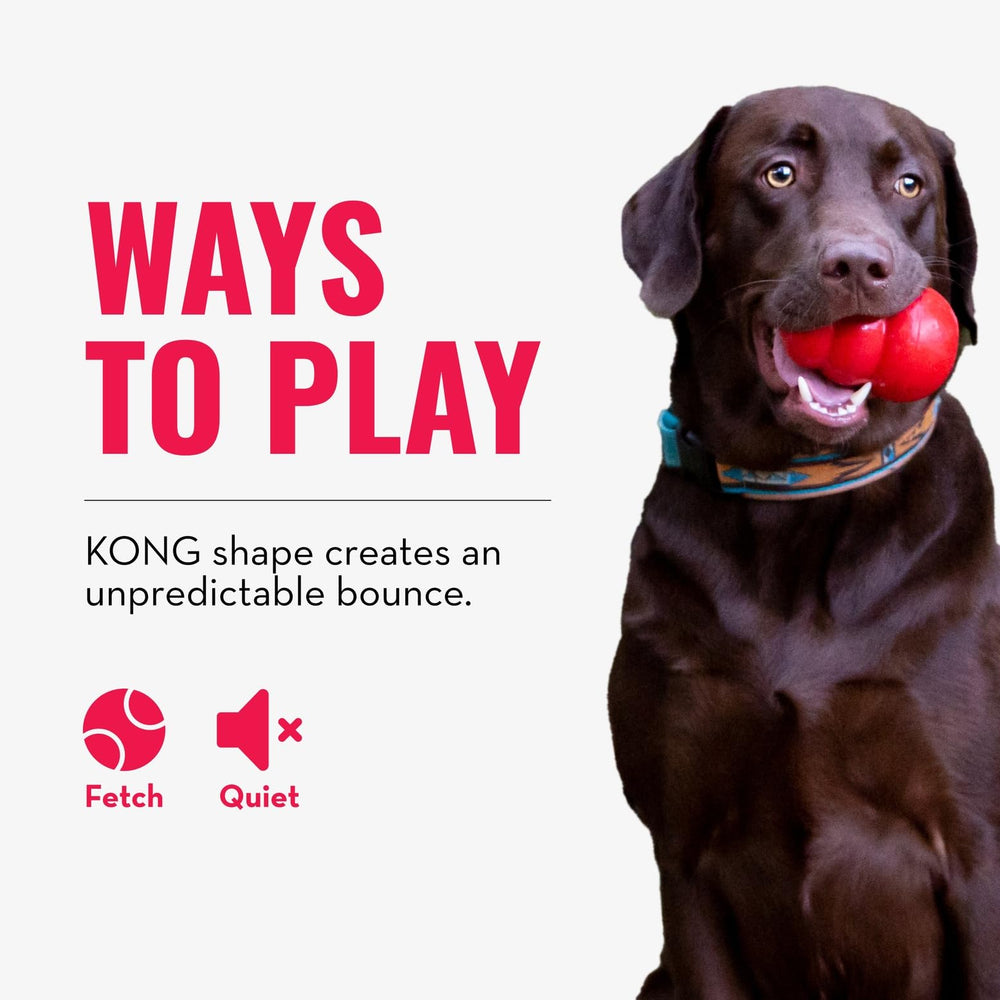 KONG Bounzer XL oversized design suited for large dogs in bold play