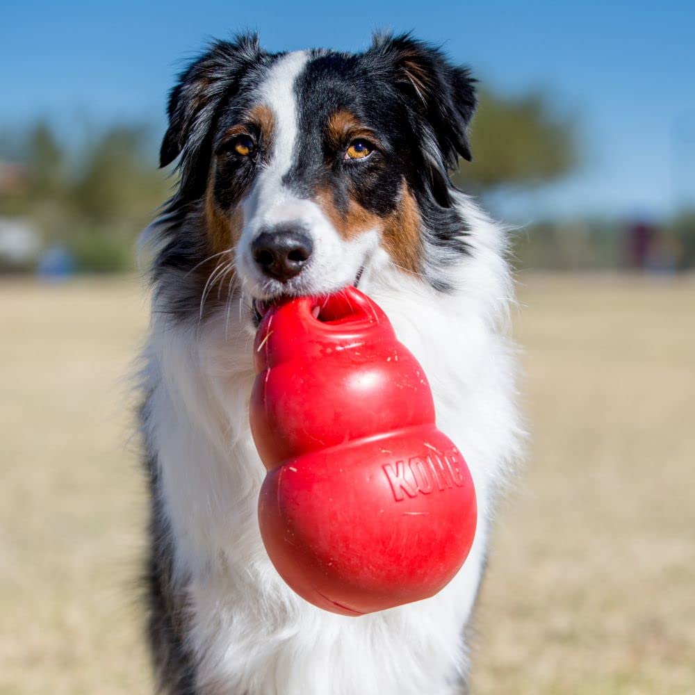 KONG Bounzer XL shows a squeezable sensation for compress-and-release fun