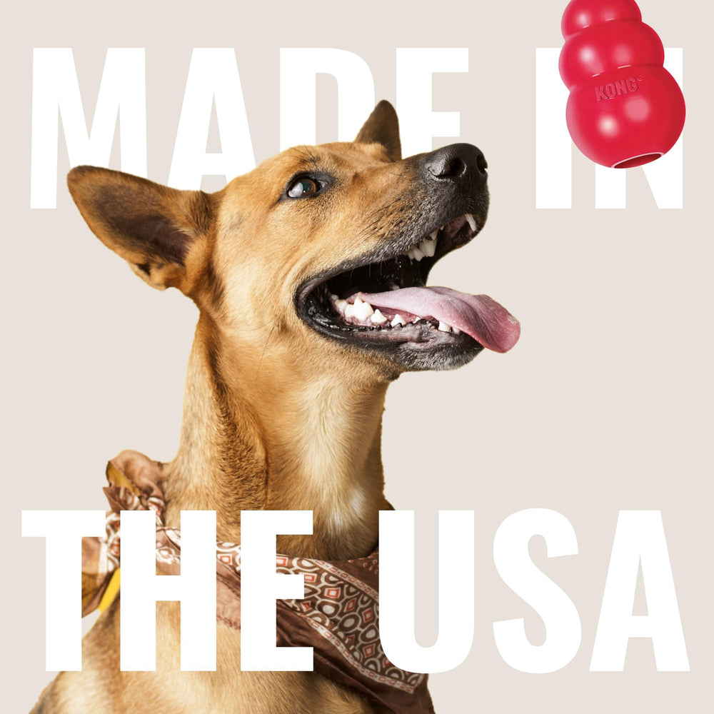 KONG clásico ideal para cachorros, juegos diarios y cuidado básico.