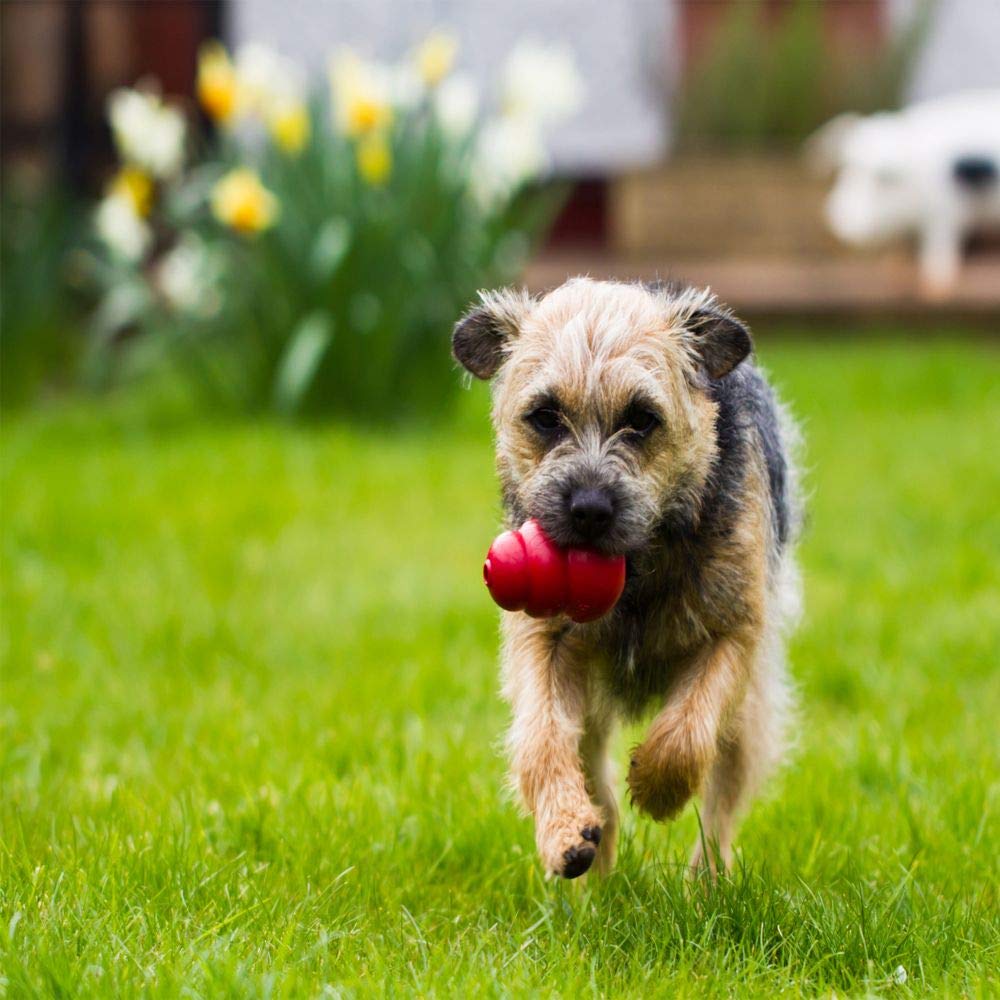 KONG Classic Medium Dog Toy red image 2; unpredictable bounce enhances interactive play.