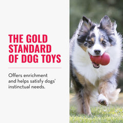 KONG Classic red rubber close-up highlights durable chew surface