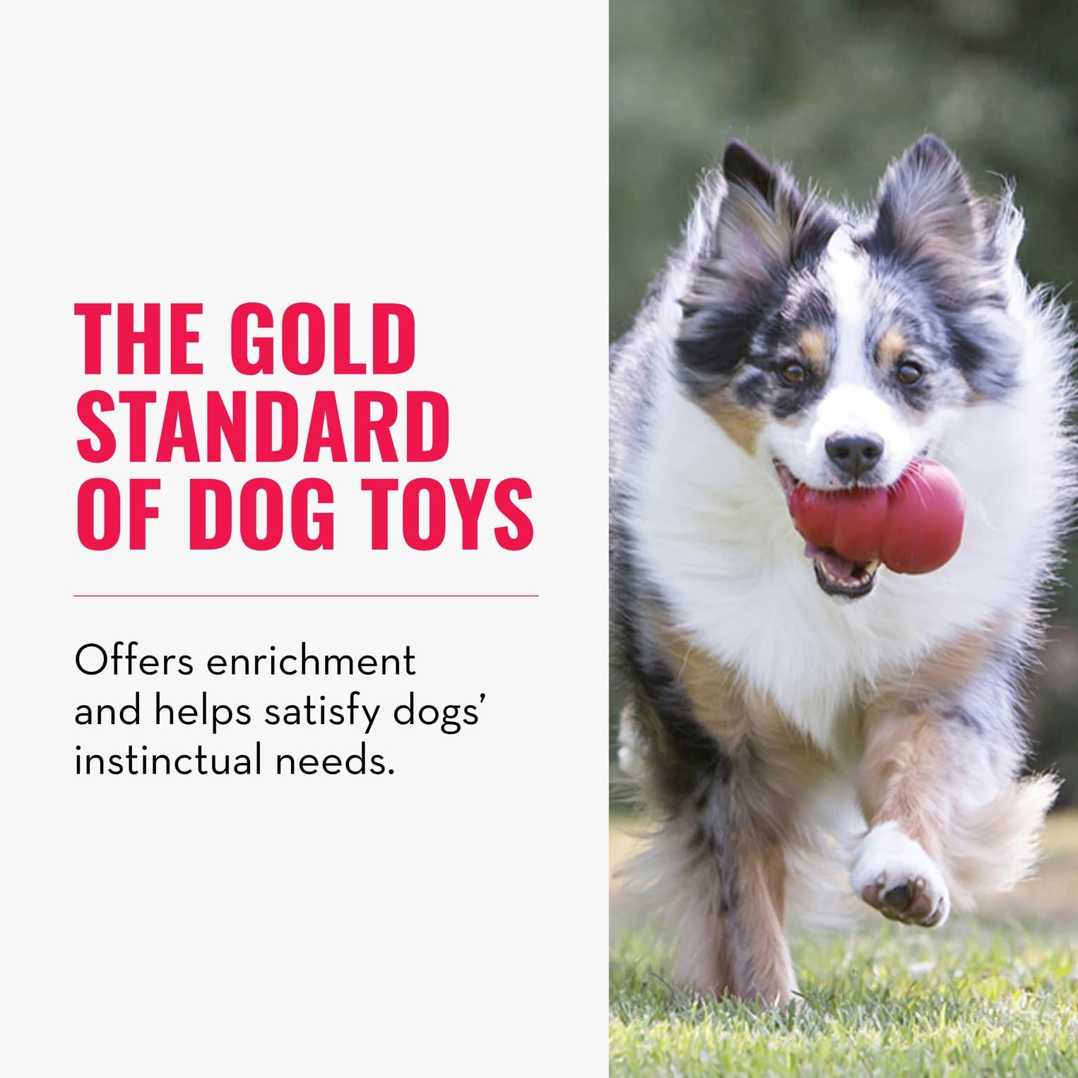 KONG Classic stuffed dog toy interior shown for stuffing with treats to extend mealtime fun.