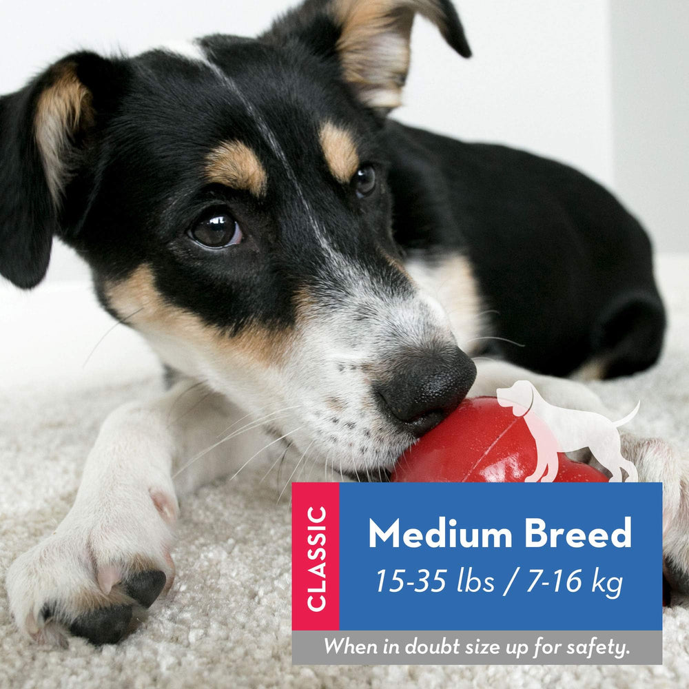 KONG Classic Stuffable Toy in motion with erratic bounce supports interactive play.