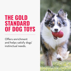 KONG Classic stuffed with peanut butter to extend play time