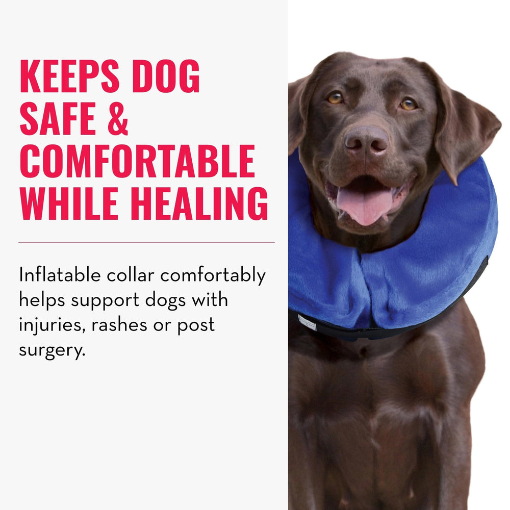KONG Cloud Collar close-up highlights soft fabric and tear resistance.