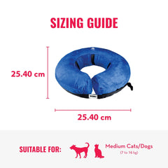 KONG Cloud Collar worn by a cat illustrates unobstructed visibility and comfort.
