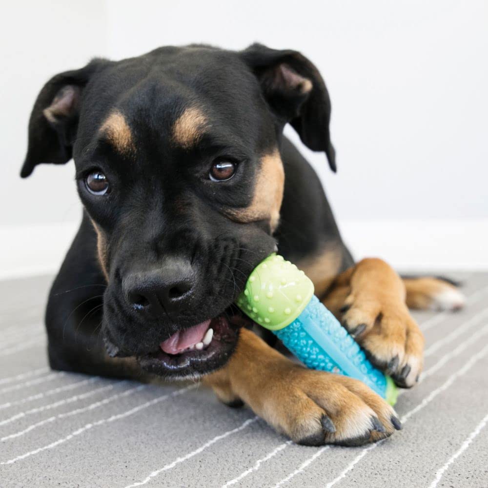 KONG CoreStrength Bone offers durable enrichment through lasting chew sessions.