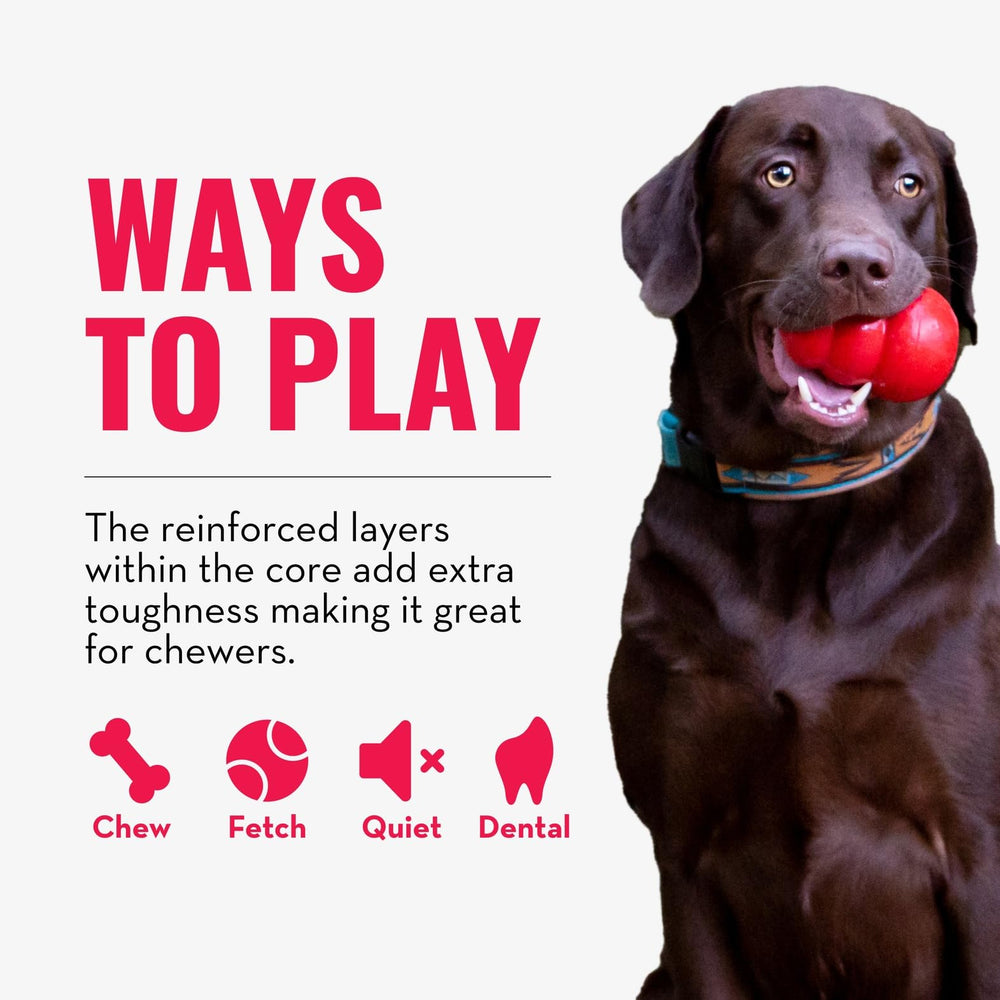 KONG CoreStrength enrichment session shot for canine stimulation