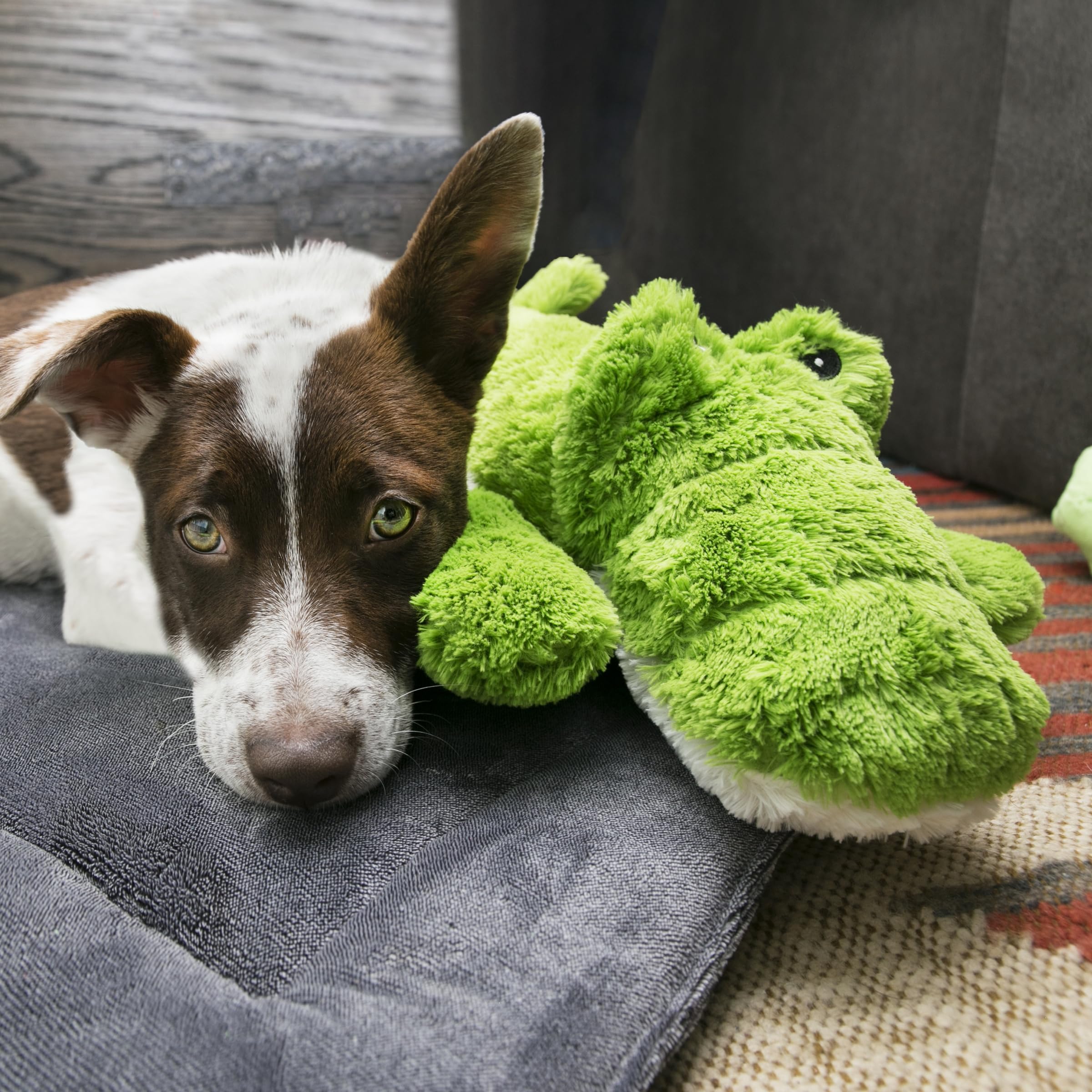 KONG Cozie Ali Alligator XL side view for durable fetch