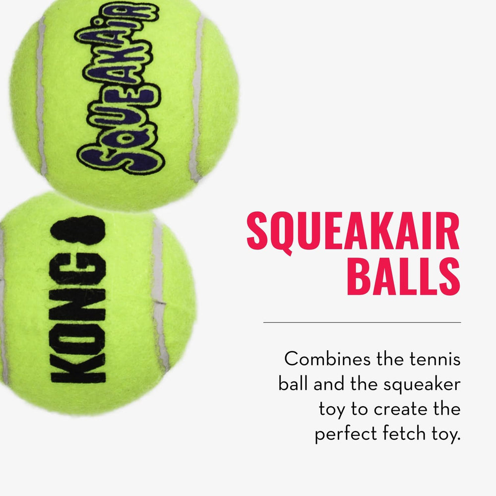 KONG Cozie Marvin Moose bundle with SqueakAir balls for versatile fetch and cuddle.