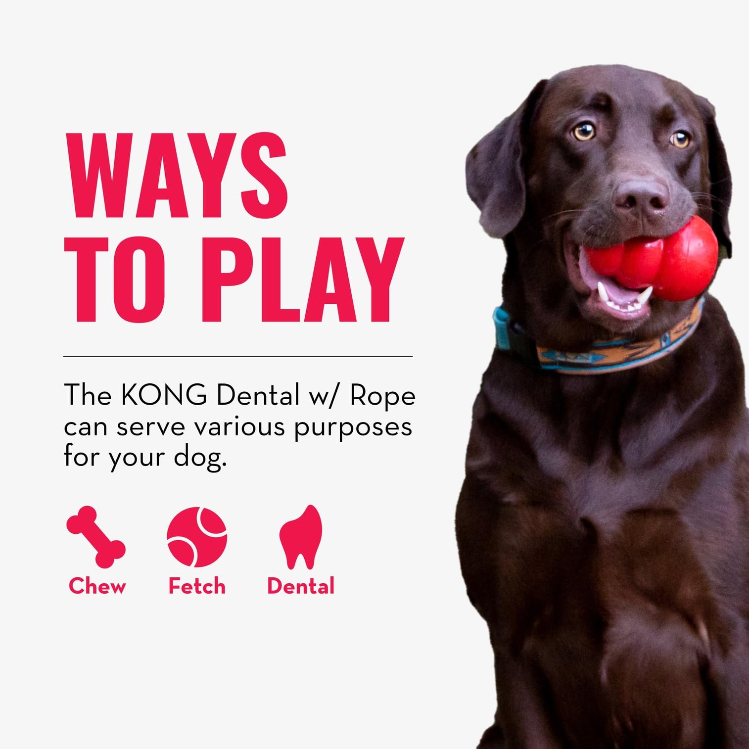KONG Dental with Rope durable natural rubber withstands medium dog chewing.