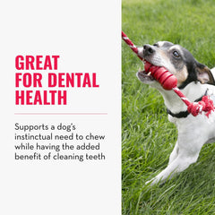 KONG Dental with Rope textured ridges provide engaging chew and cleaning action.