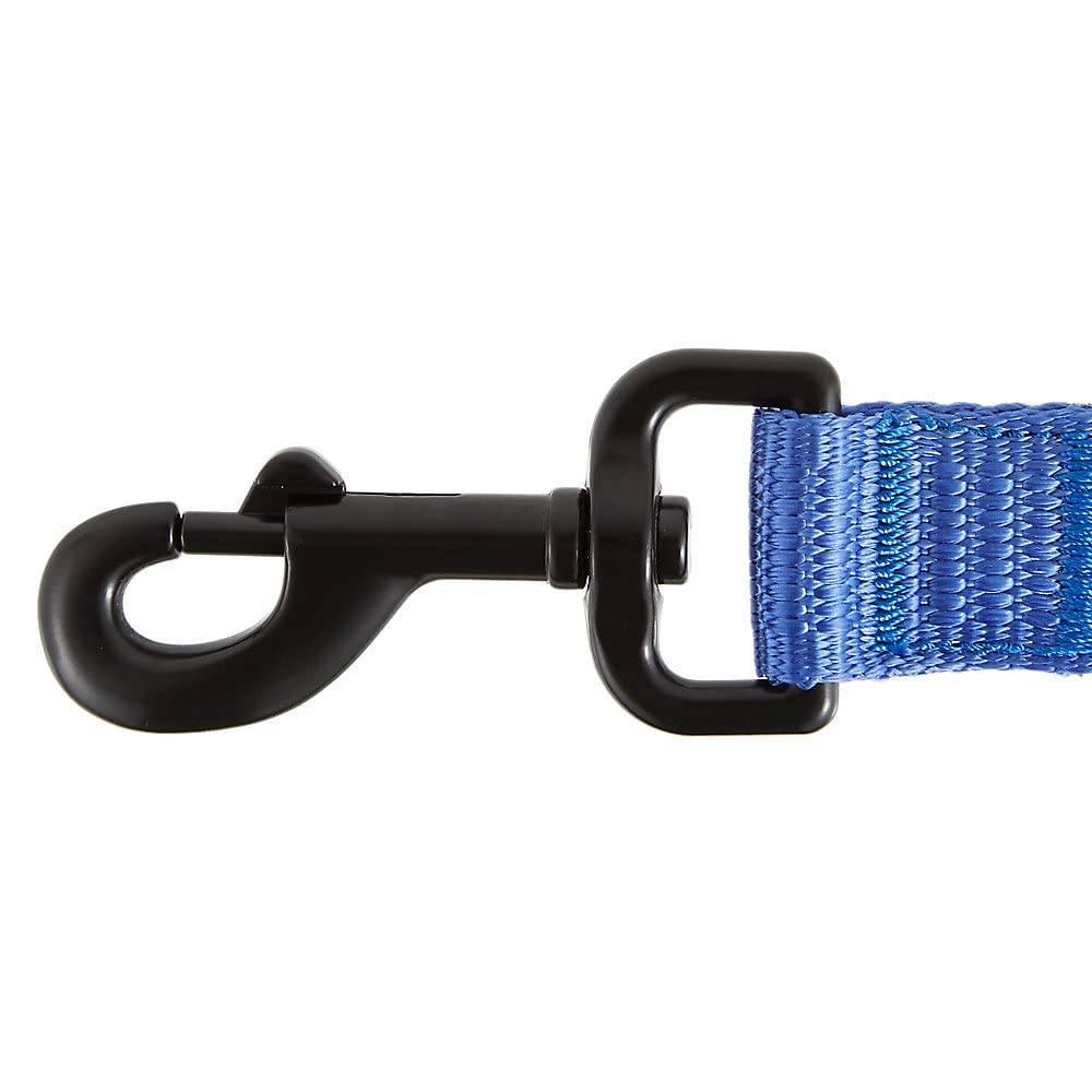 KONG Durable metal hardware on blue leash for reliable everyday use.