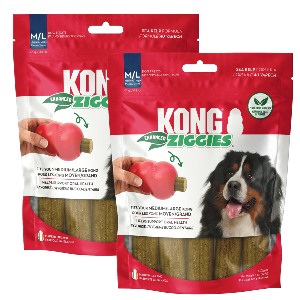 KONG Enhanced Ziggies pack shown for a long lasting dental chew