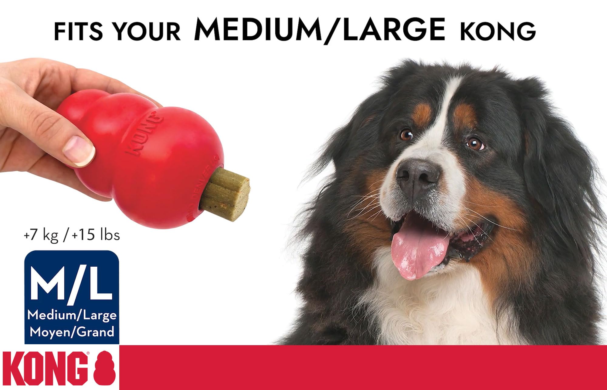 KONG Enhanced Ziggies sea kelp nutrition highlights antioxidants and minerals