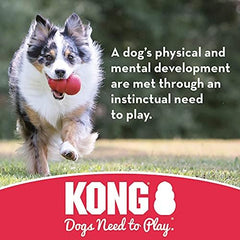 KONG Extreme Ball safety features emphasizing puncture resistance