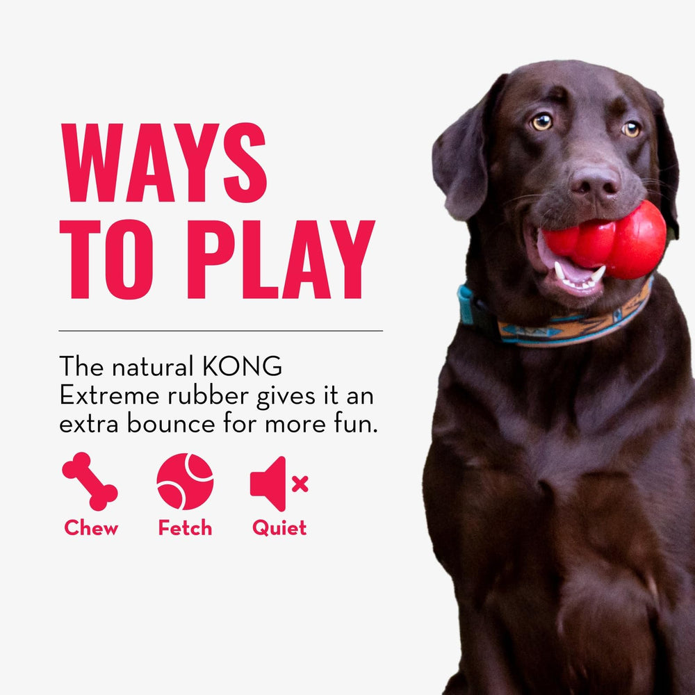 Training-friendly KONG Extreme Ball with reliable bounce during sessions.