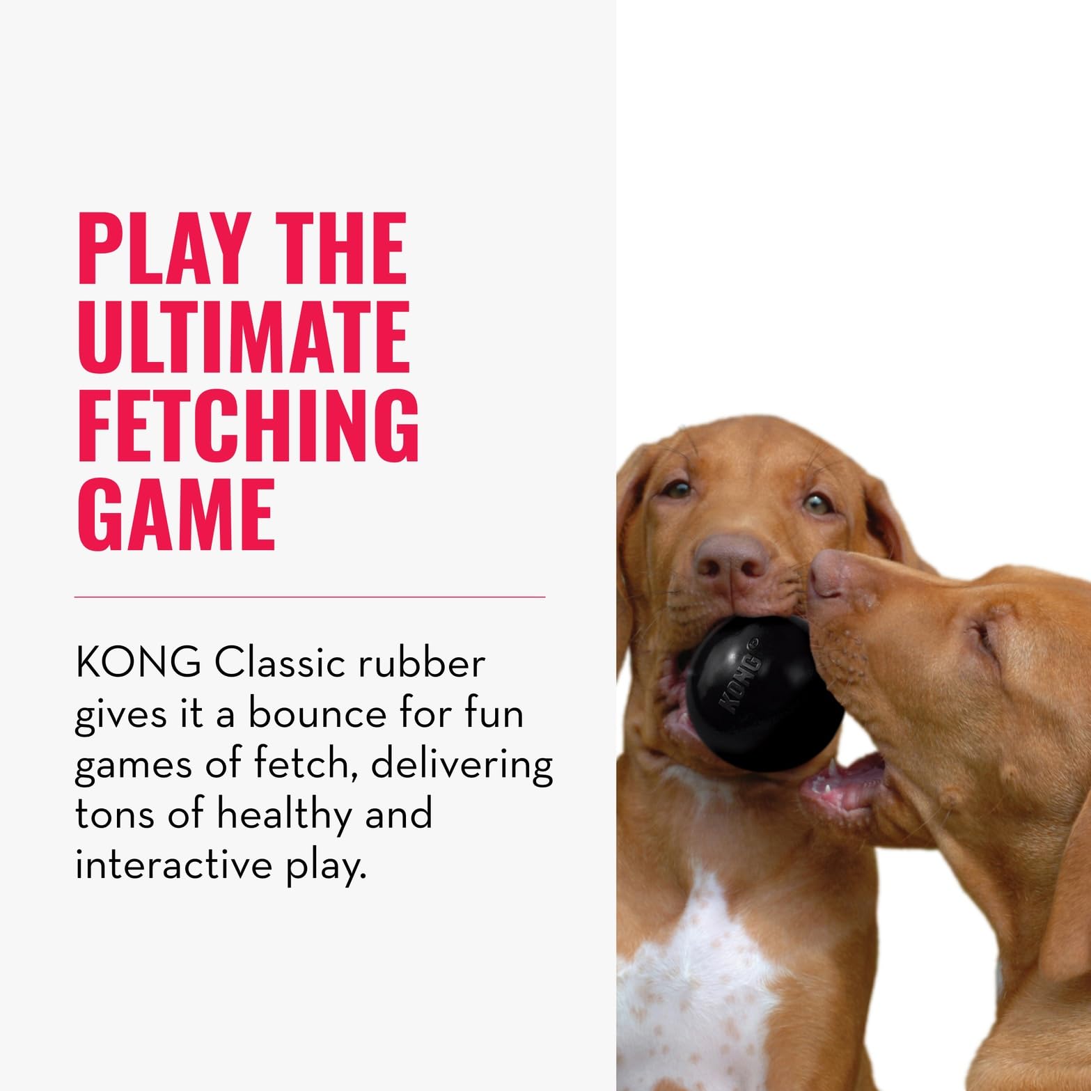 KONG Extreme Ball with Hole bounce action—interactive play for energetic dogs.