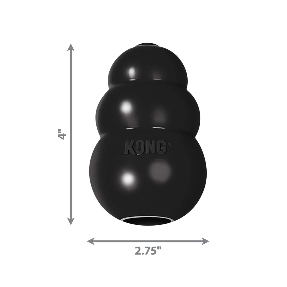 Kong Extreme durable rubber bounce highlights unpredictable fetch for active dogs