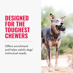 KONG Extreme toy in motion illustrating erratic bounce for interactive fetch play.